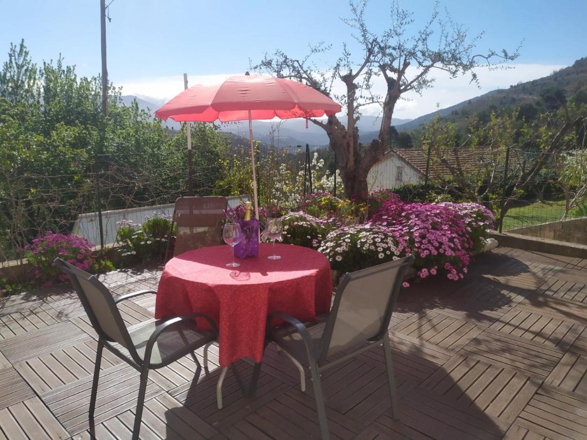 Studio Le Romantique A 20 Kms De Nice Bendejun Екстер'єр фото
