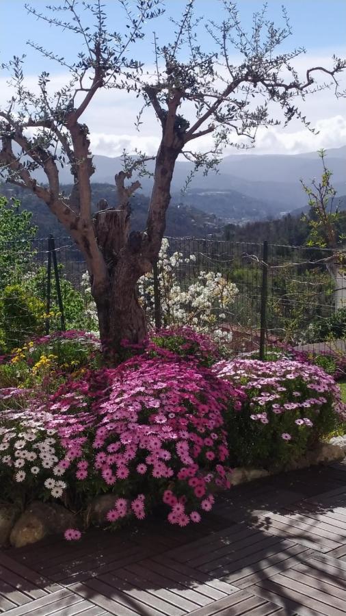 Studio Le Romantique A 20 Kms De Nice Bendejun Екстер'єр фото